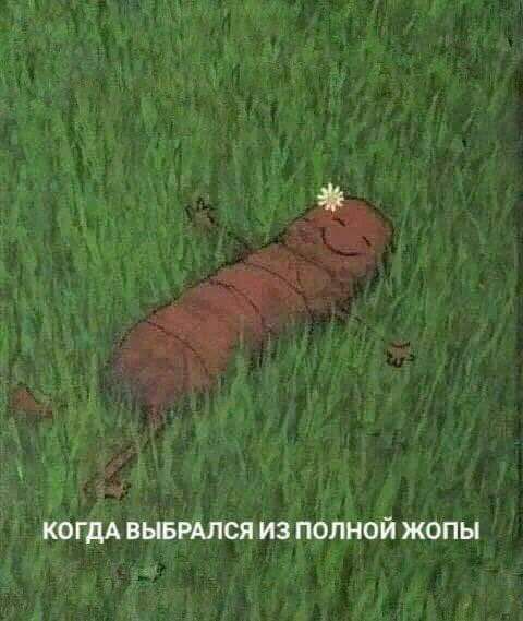 ды когіхл вин