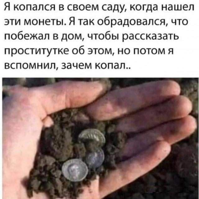 Я копался в своем саду когда нашел эти монеты Я так обрадовался что побежал в дом чтобы рассказать проститутке об этом но потом я вспомнил зачем копал