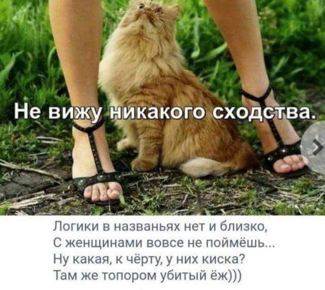 Не визчку цикакого сходства ЁЧ 7 ы 93 ЛОГИКИ В НЭЗВЗНЬПХ НСТ И близко С женщинами вовсе не поймешь Ну какает черту у них кис 37 Там же топором убитый ёж