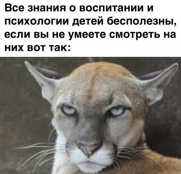 Все знания о воспитании и психологии детей бесполезны если вы не умеете смотреть на них вот так