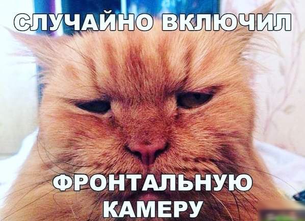 сопдшщт