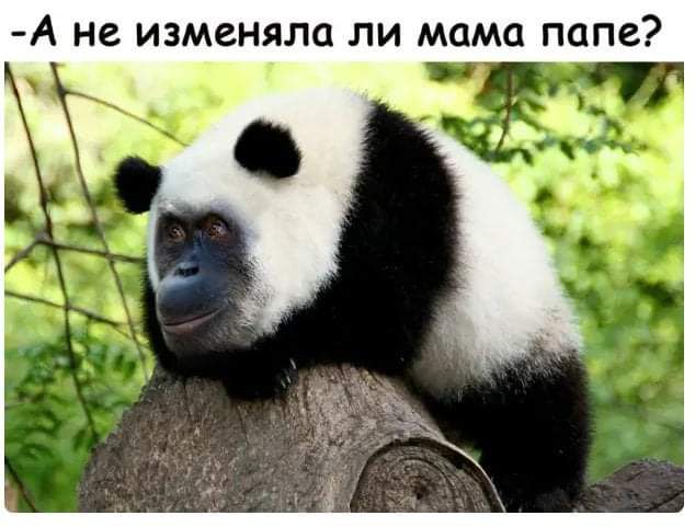 А не ИЗМСНЯЛЦ ЛИ МОМС ПОПЕ