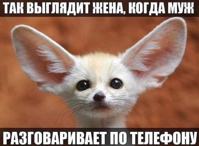 ПШ ВЫШПДИТ ЖЕНА МДА МУШ щ Ъ г в _ _4 РАЗШВАРИВАП по ТЕЛЕФОНУ