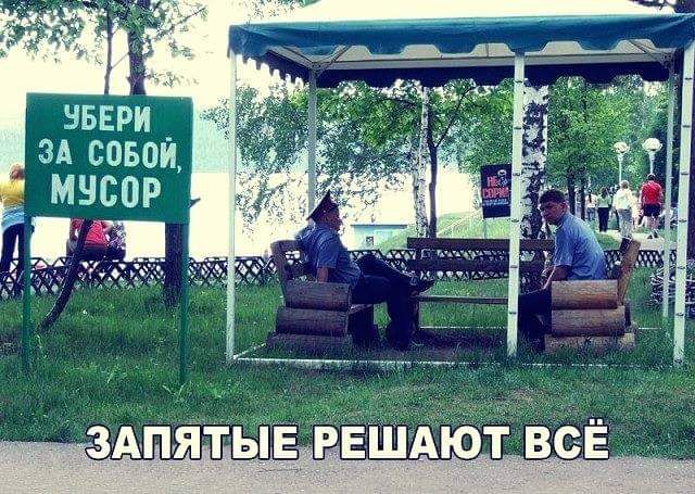 звери _ зд совои мчсор