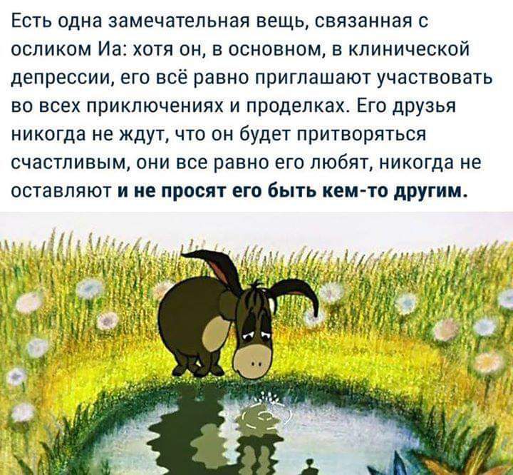 Есть одна замечательная вещь связанная с осликом Иа хотя он в основном в клинической депрессии его всё равно приглашают участвовать во всех приключениях и проделках Его друзья никогда не ждут что он будет притворяться счастливым они все равно его любят никогда не оставляют и не просят его быть кемто дРУгим