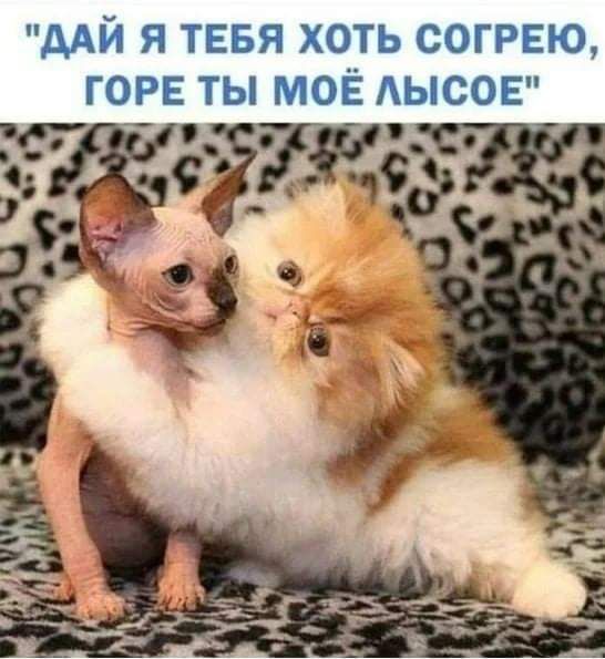 ААЙ Я ТЕБЯ ХОТЬ СОГРЕЮ ГОРЕ ТЫ МОЁ АЫСОЕ