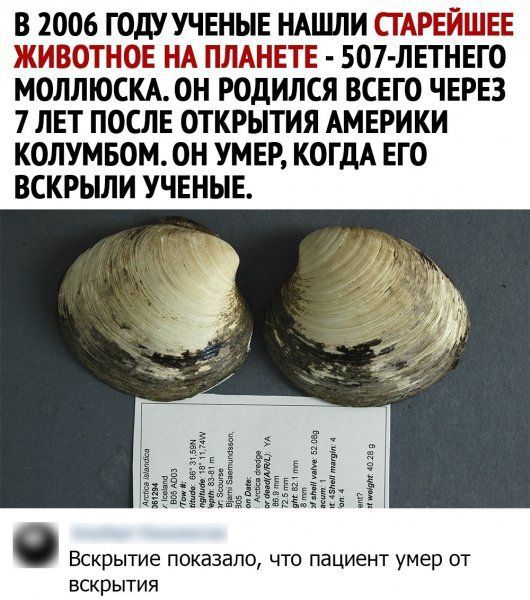 В 2006 ГОДУ УЧЕНЫЕ НАЦШИ П РЕЛШЕЕ Ж ЗБОТГЮЕ Н ПЛАНЕТЩ 507 ЛЕТНЕГО МОЛЛЮСКА ОН РОДИЛСЯ ВСЕГО ЧЕРЕЗ 7 ЛЕТ ПОСЛЕ ОТКРЫТИЯ АМЕРИКИ КОЛУМБОМ ОН УМЕР КОГДА ЕГО ВСКРЫЛИ УЧЕНЫЕ ЕЁ ЁЁЁ Вскрытие ПОКЭЗВЛО ЧТО пациент умер ОТ ВСКРЫТИЯ