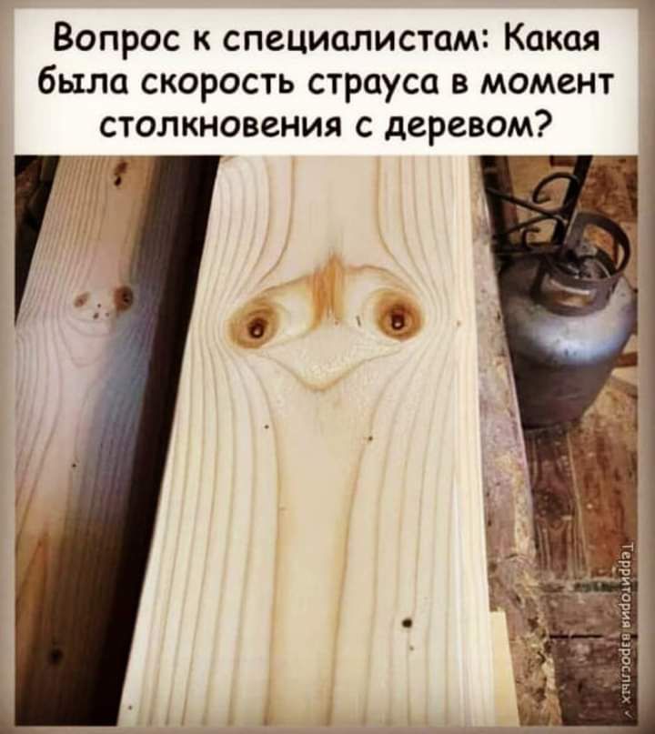 Вопрос к специалистам Какая была скорость страуса в момент столкновения с деревом