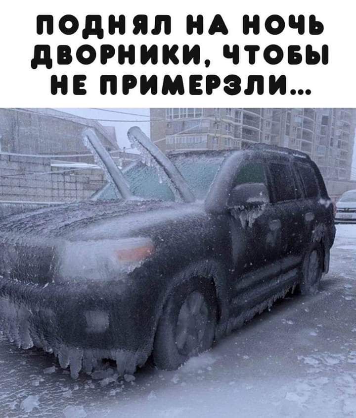 поднял ИА НОЧЬ дВОРИИИИ ЧТОБЫ ИЕ ПРИМЕРЗЛИ