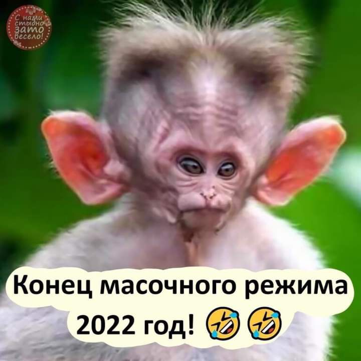 Конец Масочного режима