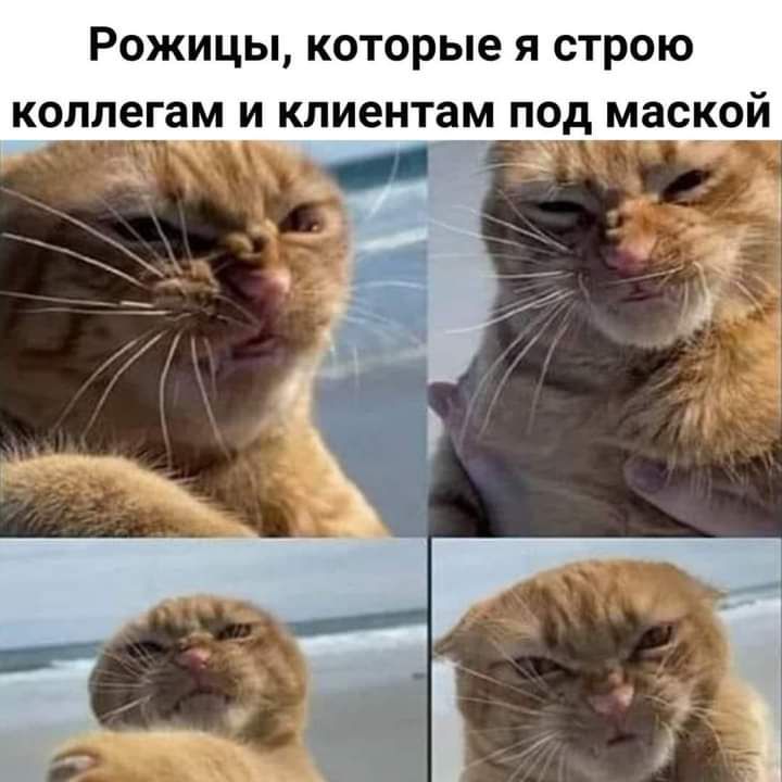 РОЖИЦЫ которые Я СТРОЮ коллегам И клиентам ПОд маской Ч 3