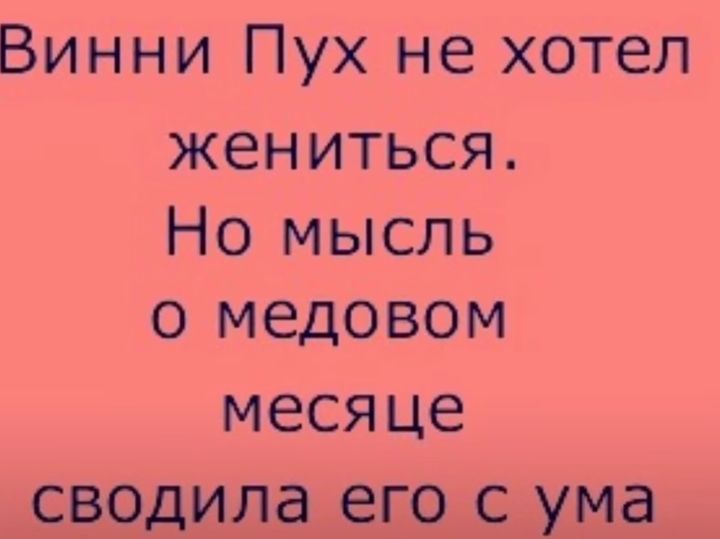 Винни Пух не хотел жениться Но мысль о медовом месяце СВОДИЛЭ ЕГО С ума