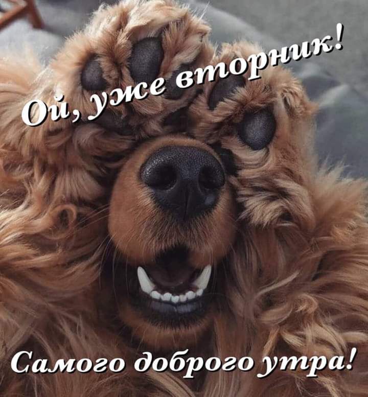 у Сипого доброгоутраа _ Ё