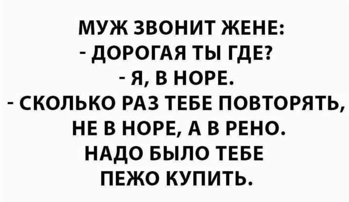 МУЖ ЗВОНИТ ЖЕНЕ ДОРОГАЯ ТЫ ГДЕ Я В НОРЕ СКОЛЬКО РАЗ ТЕБЕ ПОВТОРЯТЬ НЕ В НОРЕ А В РЕНО НАДО БЫЛО ТЕБЕ ПЕЖО КУПИТЬ