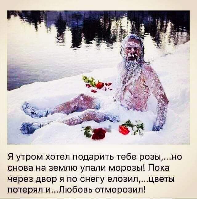 Я утром хотел подарить тебе розыно снова на землю упали морозы Пока через двор я по снегу епозилцветы потерял иПюбовь отморозил