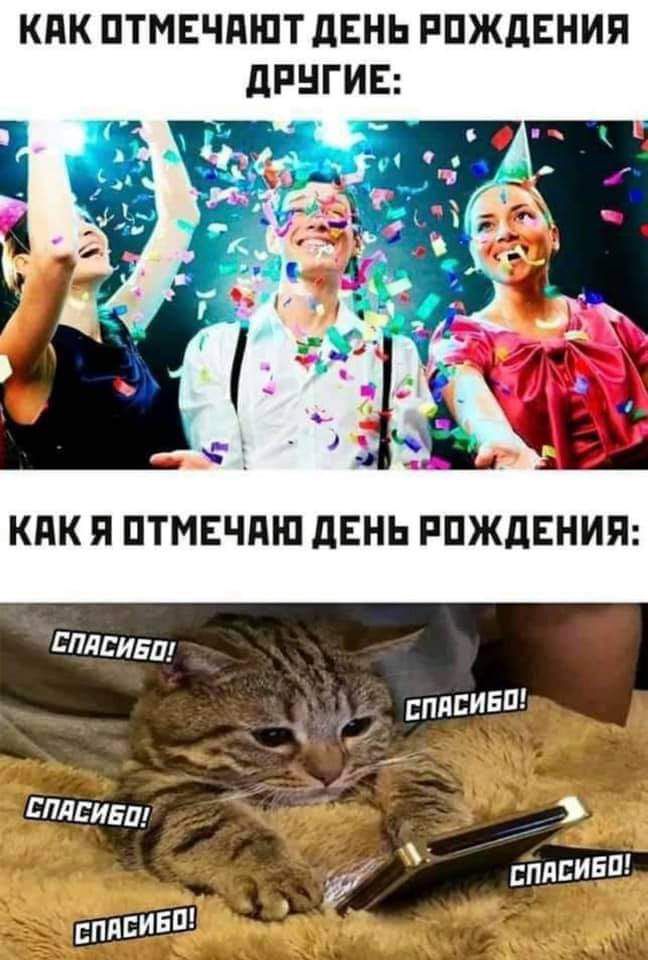 КПК ПТМЕЧПШТ дЕНЬ РПЖДЕНИЯ дРНГИЕ слдсивш