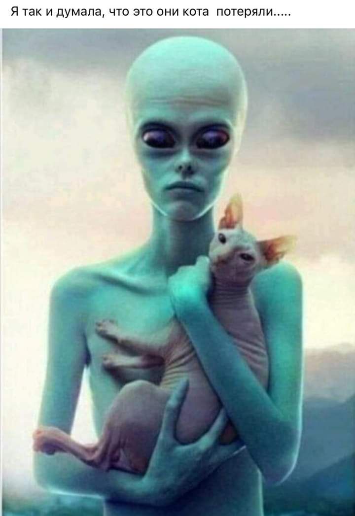 Я так И Думала ЧТО ЭТО ОНИ кота потеряли