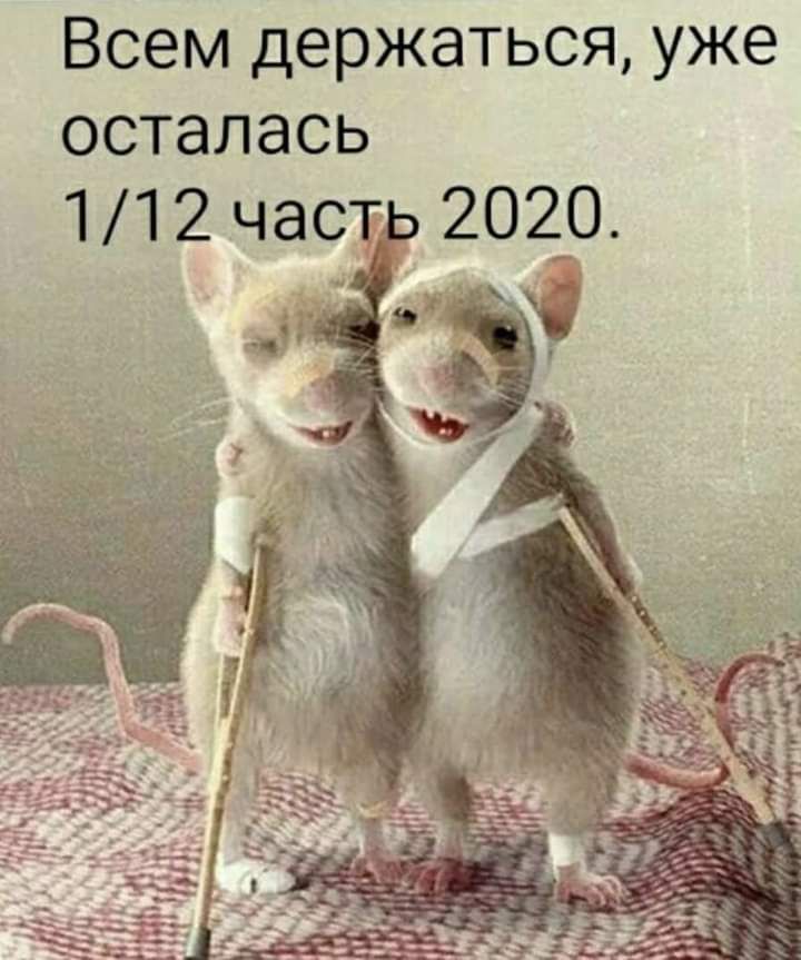 Всем держаться уже осталась 112 част 2020