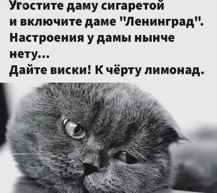 Угостите даму сигаретой и включите даме Ленинград Настроения у дамы нынче нету дайте виски К чёрту лимонад и Г