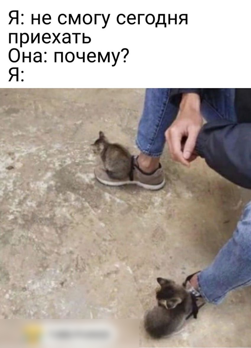 Я не смогу сегодня приехать Она почему Я