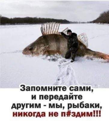 Запомните сами и передайте другим мы рыбаки никогда не пздимШ