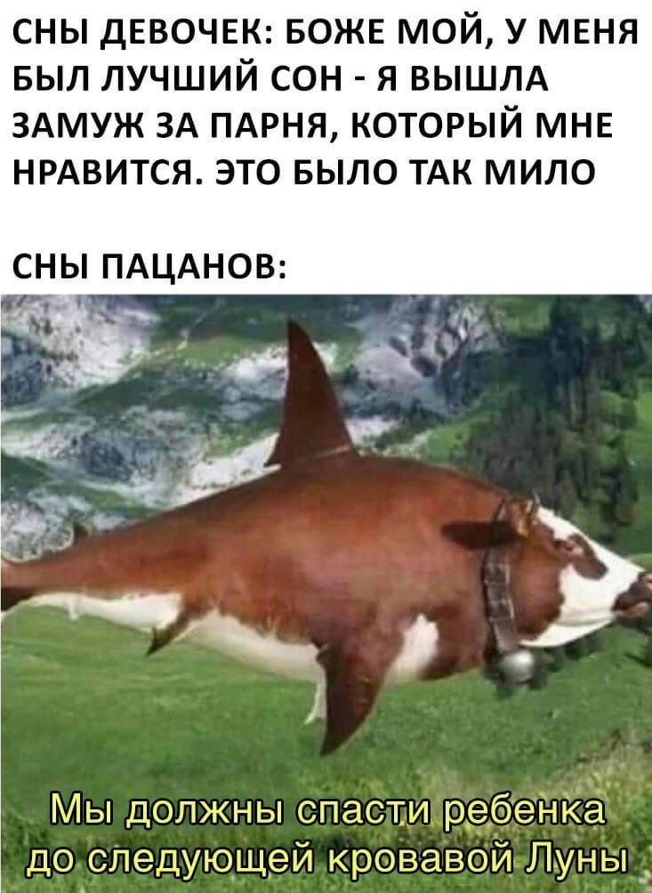СНЫ ДЕВОЧЕК БОЖЕ МОЙ У МЕНЯ БЫЛ ЛУЧШИЙ СОН Я ВЫШЛА ЗАМУЖ ЗА ПАРНЯ КОТОРЫЙ МНЕ НРАВИТСЯ ЭТО БЫЛО ТАК МИЛО СНЫ ПАЦАНОВ _ _ Мы должны спаСТ1Ир_ебеНа доследующей кровавойьлзуньдпд