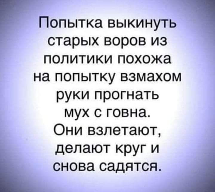 Попытка выкинуть старых воров из политики похожа на попытку взмахом руки прогнать мух с говна Они взлетают делают круг и снова СЭДЯТСЯ