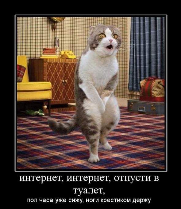 интернет интернет ОТПУСТИ В туалет пол часа уже сижу ноги крестиком держу