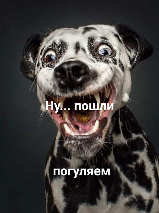 погуляем