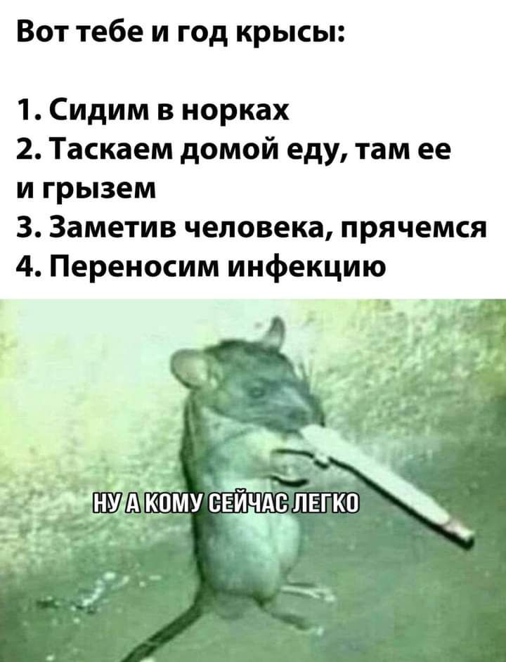 Вот тебе и год крысы 1 Сидим в норках 2 Таскаем домой еду там ее и грызем 3 Заметив человека прячемся 4 Переносим инфекцию