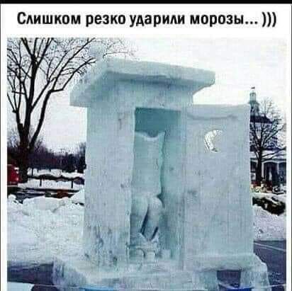 Слишком резко ударили морозы