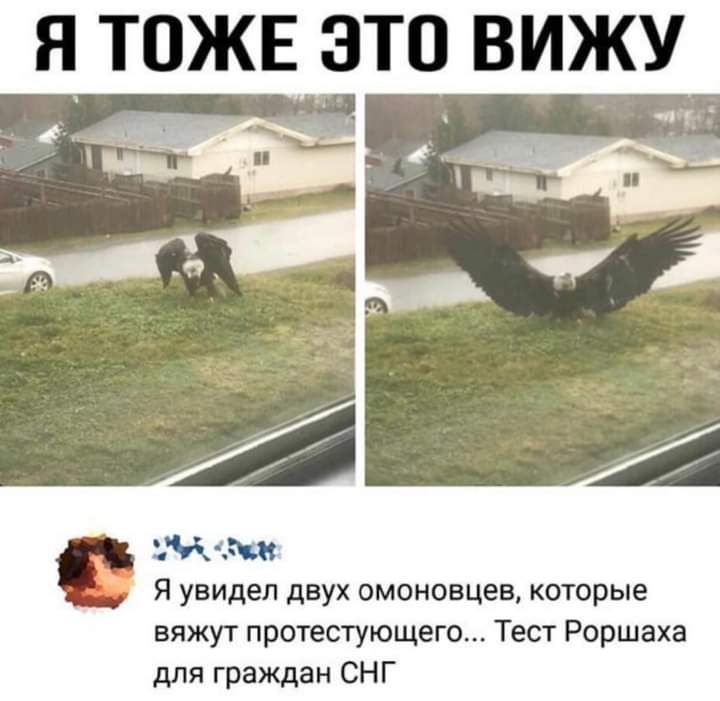 Я ТОЖЕ ЭТО ВИЖУ Жащ Я увидел двух омоновцев которые вяжут протестующего Тест Роршаха для граждан СНГ