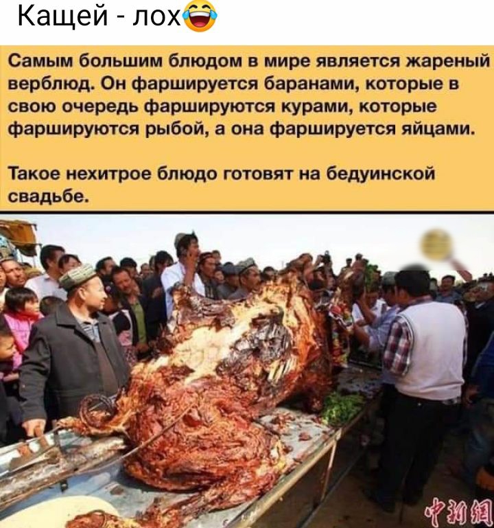 Кащей лох ШМ і типаж п