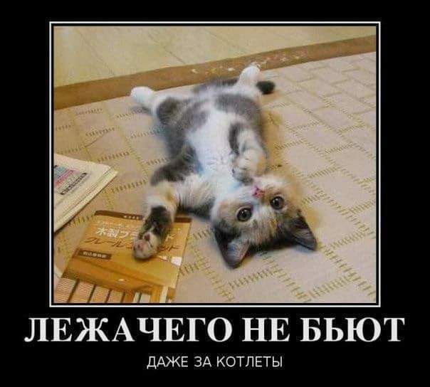 ЛЕЖАЧЕГО НЕ БЬЮТ ДАЖЕ ЗА КОТЛЕТЫ