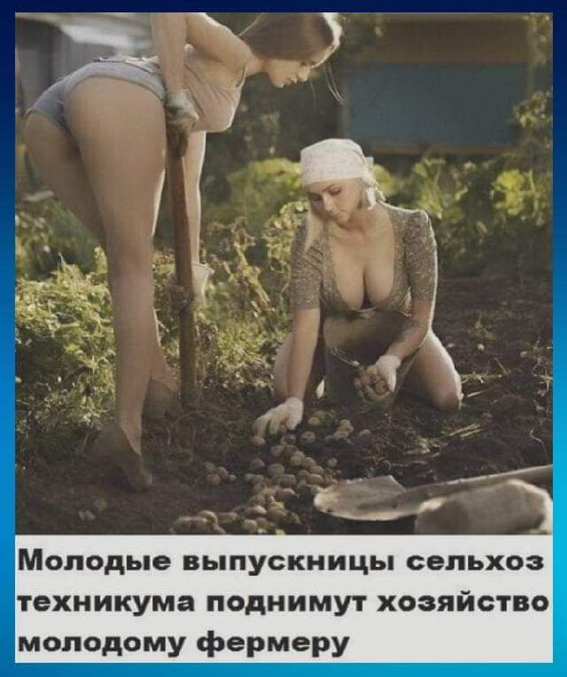 МОЛОДЫЕ ВЬПУСКНИЦЬ сельхоз техникума поднимут хозяйство Молодому фермеру