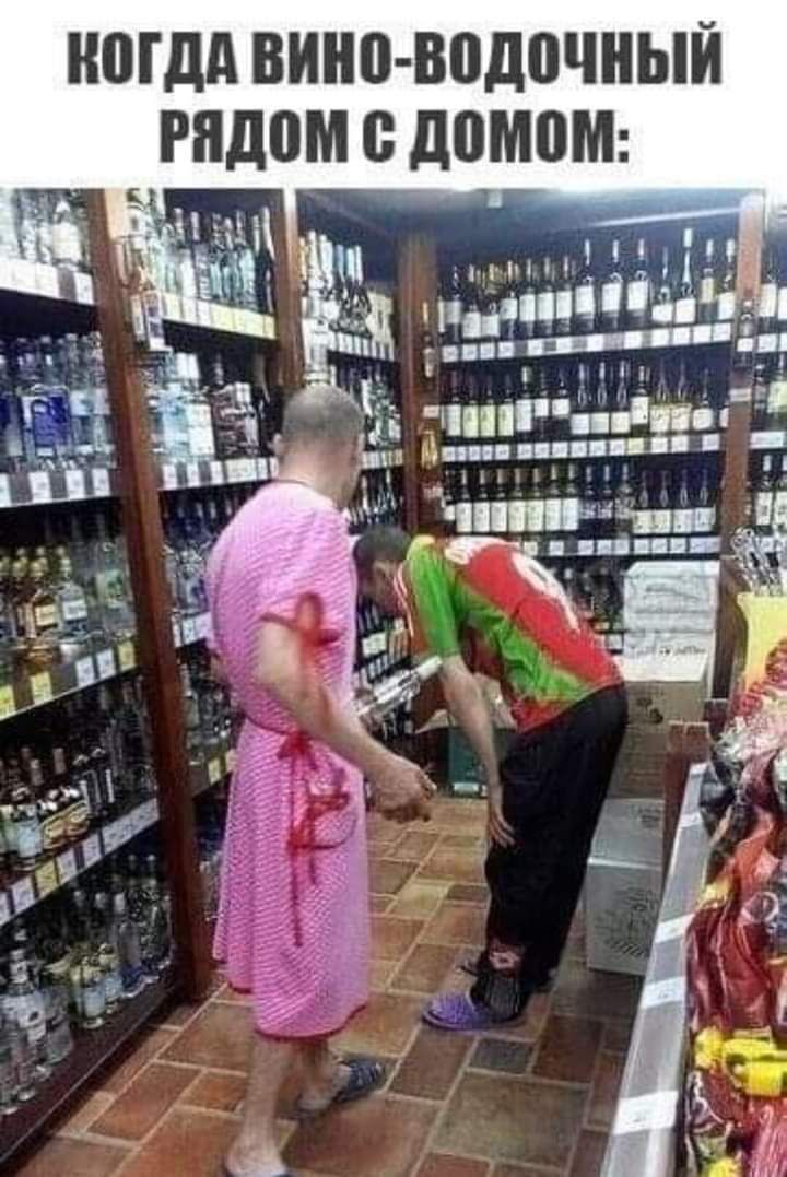 НШДА ВИНП ВПДВЧНЫЙ гидом В ЦПМПМ Щ