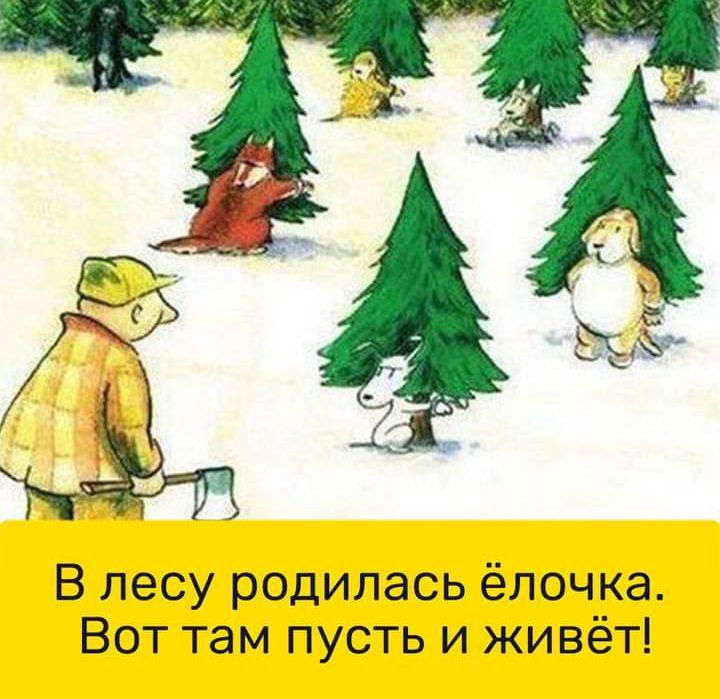 В лесу родилась ёлочка Вот там пусть и живёт