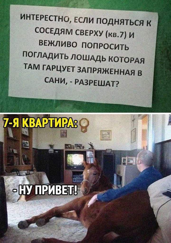 ИНТЕРЕСТНО ЕСЛИ ПОДНЯТЬСЯ К СОСЕДЯМ СВЕРХУ кв7 И ВЕЖЛИВО ПОПРОСИТЬ ПОГЛАДИТЬ ЛОШАДЬ КОТОРАЯ ТАМ ГАРЦУЕТ ЗАПРЯЖЕННАЯ В САНИ РАЗРЕШАТ