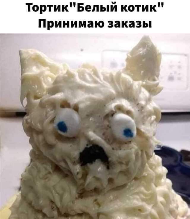 ТортикБелый котик Принимаю заказы