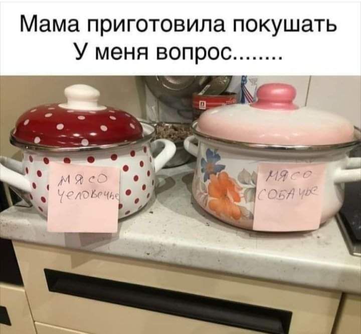 Мама приготовила покушать У меня вопрос
