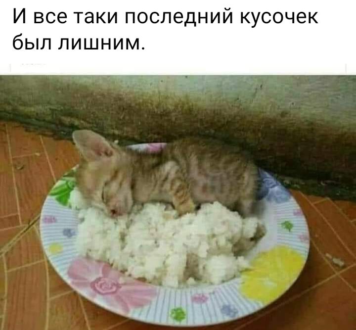 И все таки последний кусочек был лишним