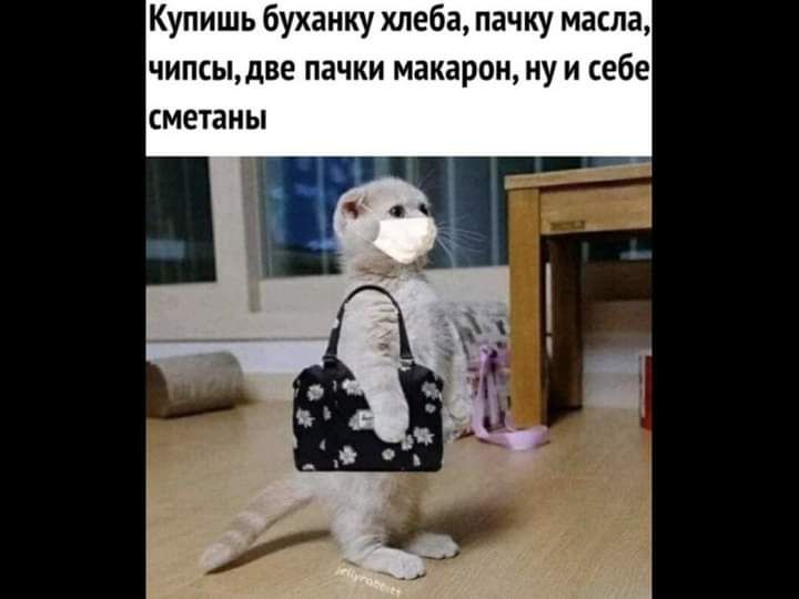Купишь буханку хлеба пачку масла чипсыцве пачки макаронну и себе сметаны