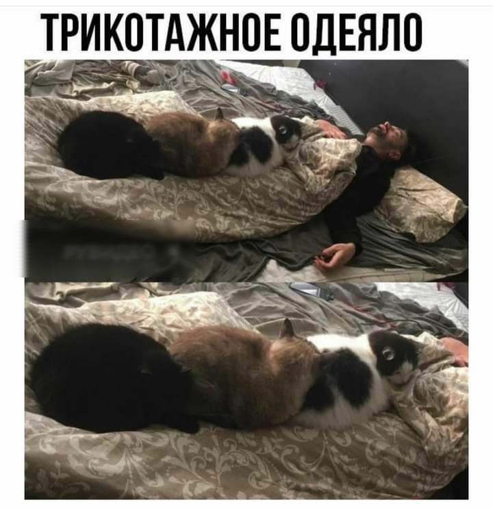 ТРИКАЖНПЕ ПДЕЯЛП