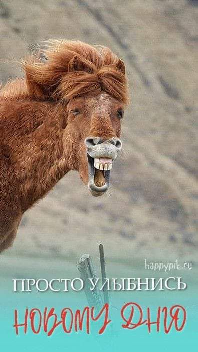 Нщд нг НОЫЛМ ЩЮ
