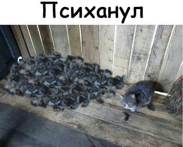 Психанул