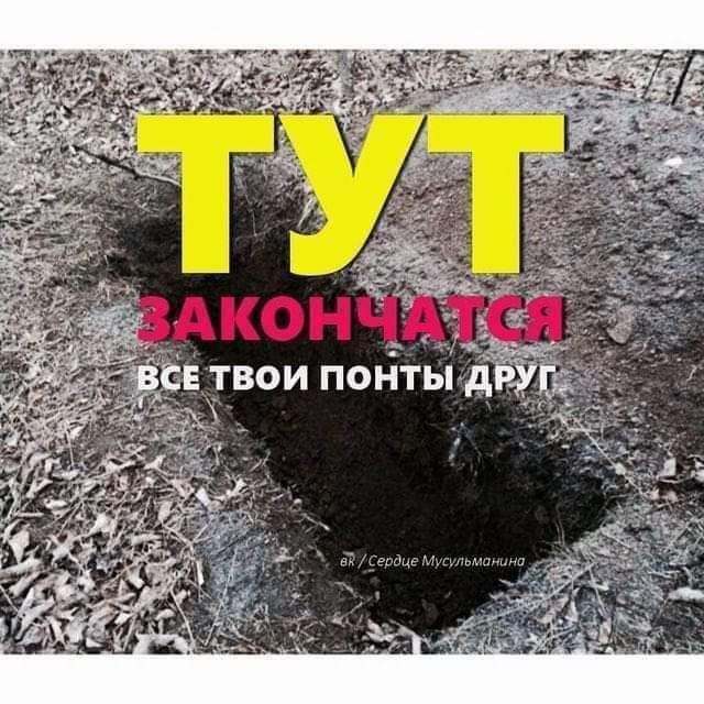 41 твои пой гы