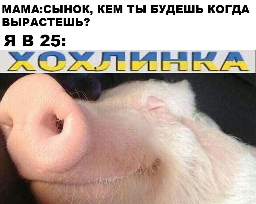 МАМАСЫНОК КЕМ ТЫ БУДЕШЬ КОГДА ВЫРАСТЕШЬ ЯВ25 2502 НЕЕ КА Г