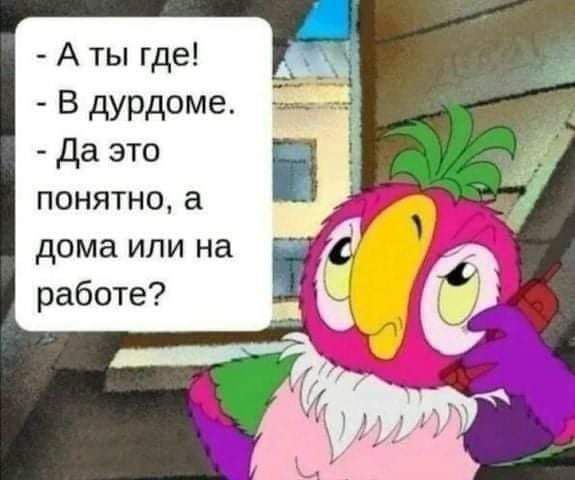А ты где В дурдоме да это понятно а