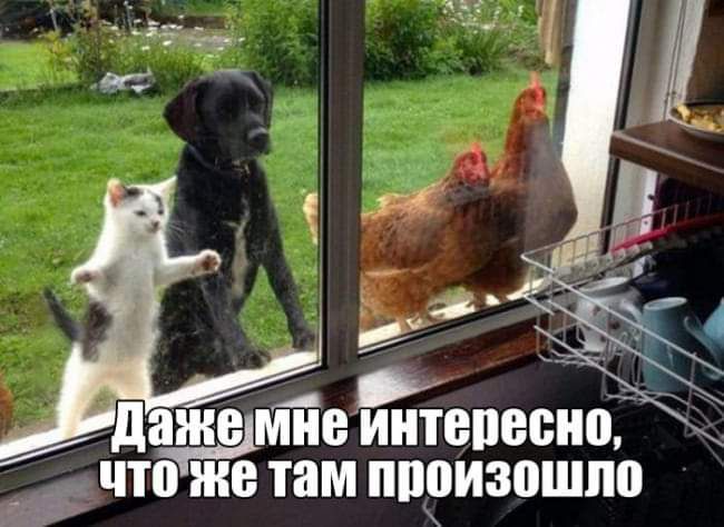 в г дажщптеинтепесно что же там ппоизошпо