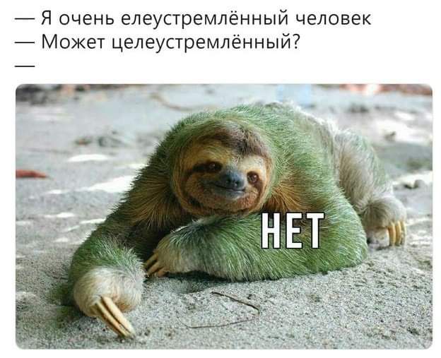 Я очень елеустремлённый человек Может целеустремлённый __